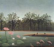 Henri Rousseau The Flamingos oil painting reproduction